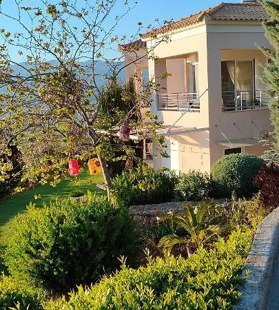 Garden 1